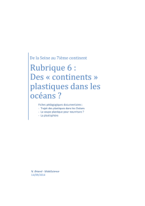 Rubrique 6 : Des « continents » plastiques dans les océans ?