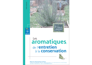 Calendrier des aromatiques