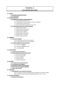 Chapitre I. Les classes des mots