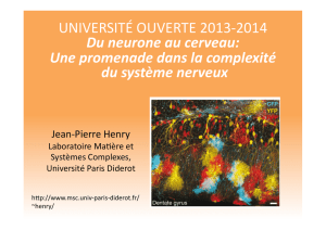 UNIVERSITÉ OUVERTE 2013-‐2014 Du neurone au cerveau: Une