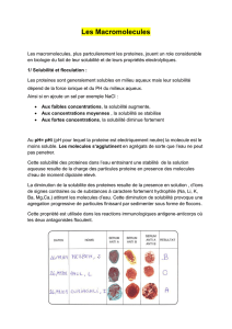 Les Macromolecules