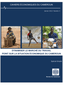 cahiers économiques du cameroun