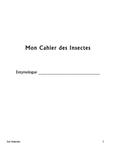 Mon Cahier des Insectes
