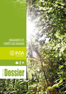 IMAGINER LES FORÊTS DE DEMAIN