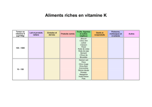 Aliments riches en vitamine K