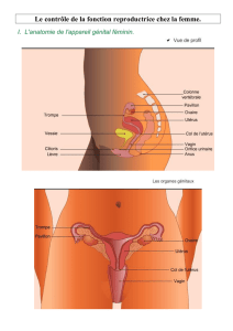 Le contrôle de la fonction reproductrice chez la femme.