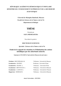 thèse - Université de Mascara