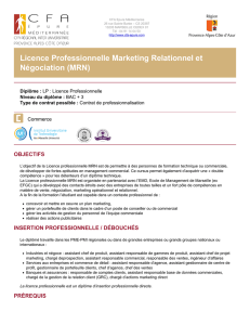 Licence Professionnelle Marketing Relationnel et