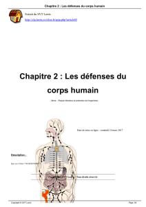 Chapitre 2 : Les défenses du corps humain - SVT Lorris