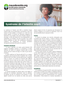 Syndrome de l`intestin court