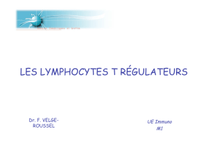 LES LYMPHOCYTES T RÉGULATEURS