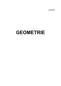 geometrie - MSLP