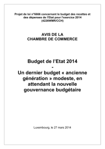 Budget de l`Etat 2014