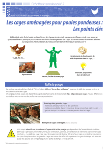 cage_amenagee_fiche poules pondeuses n° 2