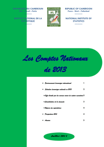 Comptes Nationaux provisoires 2013 du Cameroun