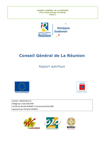 Rapport spécifique PCET CG974 - Le Département de La Réunion