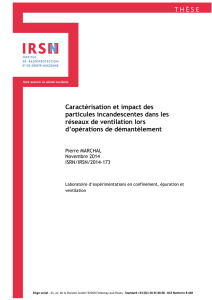 Caractérisation et impact des particules incandescentes