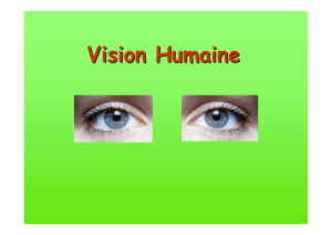 diaporama Vision humaine - sur le site de Claude Lahache