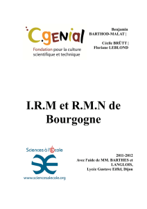 I.R.M et R.M.N de Bourgogne