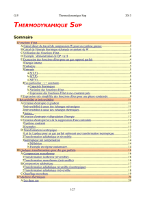 THERMODYNAMIQUE SUP