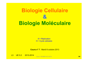 Cours N°7, « Réplication - Département de Biochimie