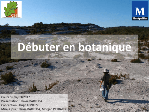 Cours débutant n°1