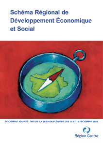 Schéma Régional de Développement Économique et Social