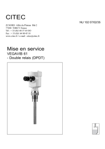 Mise en service - VEGAVIB 61 - - Double relais (DPDT)