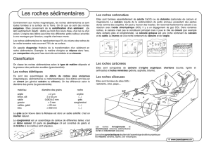 Roche_sedimentaire_files/Roches sedimentaires