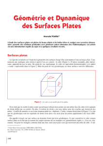 Géométrie et Dynamique des Surfaces Plates