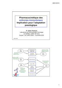 Pharmacocinétique des anticorps monoclonaux p Implication pour l
