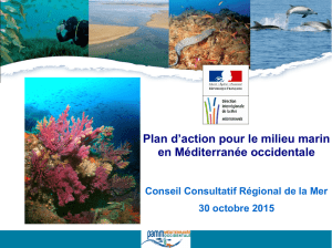 Plan d`action pour le milieu marin en Méditerranée