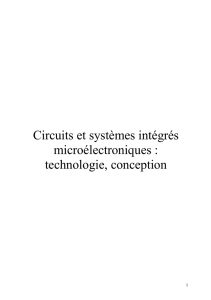 Circuits et systèmes intégrés micro