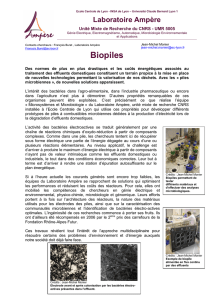 Biopiles - Laboratoire Ampère