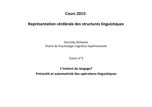 Cours 2015: Représentation cérébrale des structures linguistiques