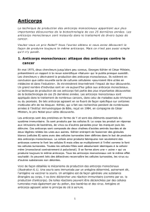 Texte sur le chapitre Anticorps - Biotech Lerncenter