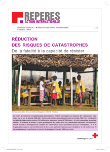 Réduction des risques de catastrophes (repères) - Croix