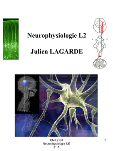 1 - Julien Lagarde PhD