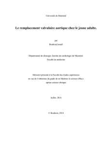 Bouhout_ismail_2014_memoire - Papyrus : Université de Montréal