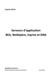 Serveursd`application BEA,WebSpère,InpriseetDNA