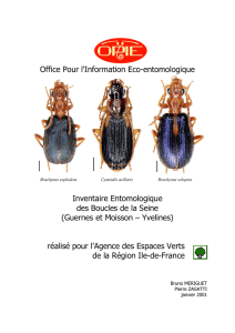 Office Pour l`Information Eco-entomologique Inventaire