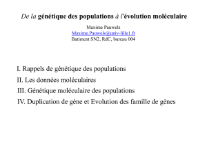 Rappels de Génétique des Populations