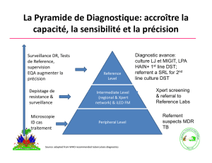 La Pyramide de Diagnostique: accroître la capacité, la sensibilité et