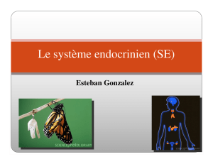 Le système endocrinien (SE)