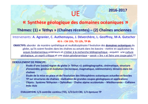 Synthèse géologique des domaines océaniques - Perso-sdt