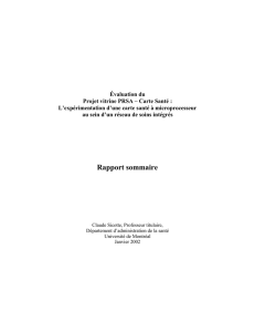 Rapport sommaire