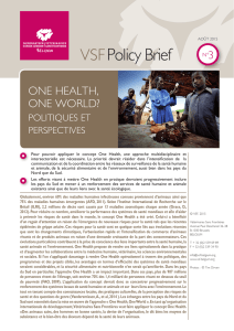 VSF Policy Brief n°3 août 2015