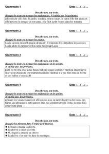 27 exos de Grammaire CE1