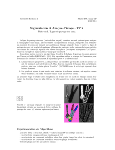 Segmentation et Analyse d`image - TP 2