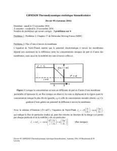 Devoir 8